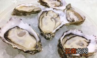 带壳的生蚝冷藏可以保存多久