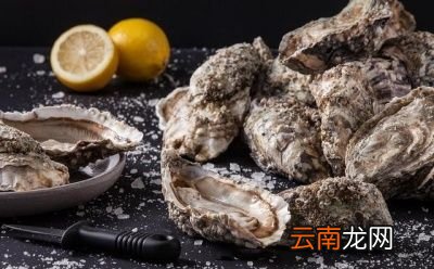 带壳的生蚝冷藏可以保存多久