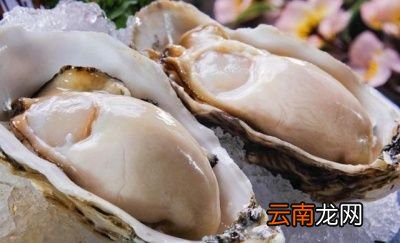 带壳的生蚝冷藏可以保存多久