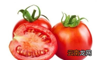 西红柿是生吃还是熟吃