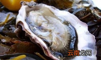 怎样的生蚝可以生吃