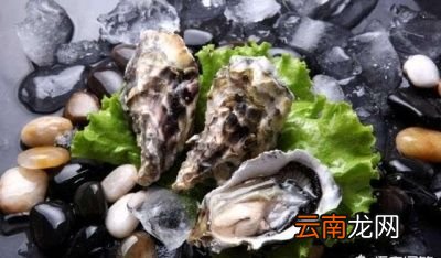 怎样的生蚝可以生吃