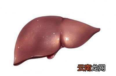 肝病早期有哪些症状呢