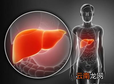肝病不健康了会有什么前兆