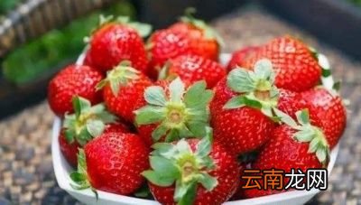 生活中养肝应该吃什么