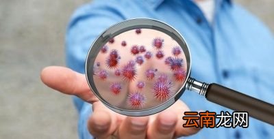 生活中养肝应该吃什么