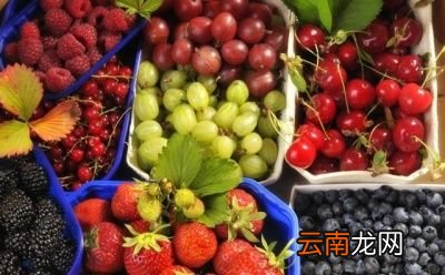 生活中养肝应该吃什么