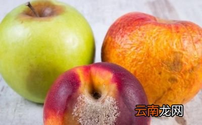 生活中养肝应该吃什么