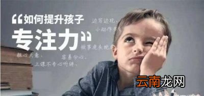 培养孩子专注力可以从这几方面入手
