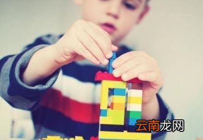培养孩子专注力可以从这几方面入手