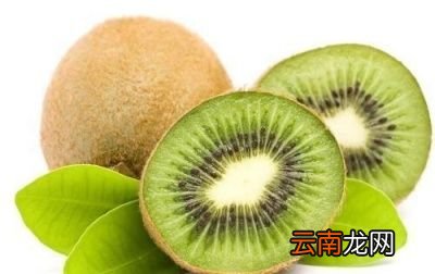 肠胃不好的人群适合吃哪些食物