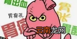 胃不好的人适合吃哪些食物