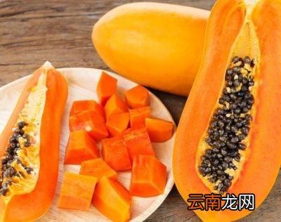 肠胃不好可以多吃哪些食物呢