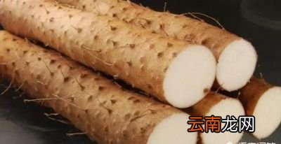 肠胃不好的人应该多吃哪些食物