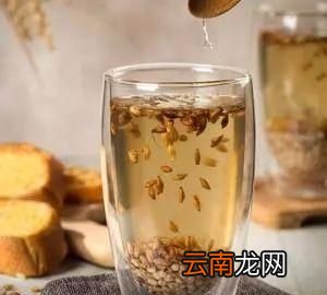 肠胃不好的人应该多吃哪些食物