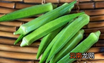 肠胃不好的人应该多吃哪些食物