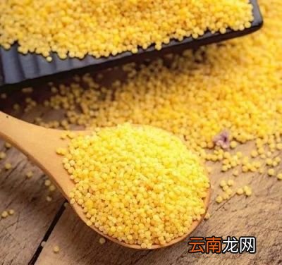 肠胃不好的人应该多吃哪些食物