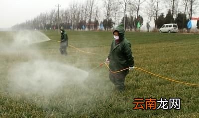 农药过期后还能用吗用了会有什么坏处