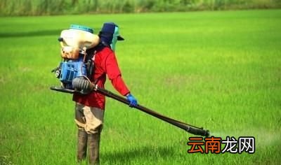 农药过期后还能用吗用了会有什么坏处