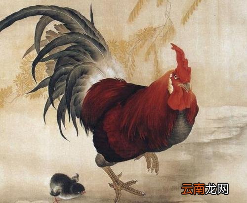 属鸡人适合在哪些城市发展  2021年属鸡的跳槽怎么样
