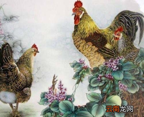 属鸡人适合在哪些城市发展  2021年属鸡的跳槽怎么样