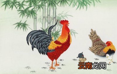 2021年属鸡人财运如何 2021年属鸡人财运方位属鸡人2021年财运在