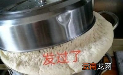 酵母发面一般要经过多长时间