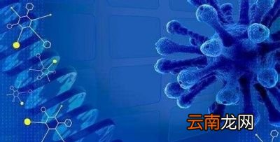 感冒药起什么作用