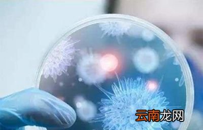 轻症有可能没有任何症状