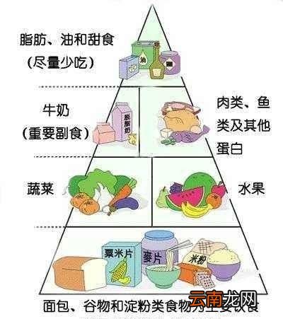 什么食物对降血压有好处