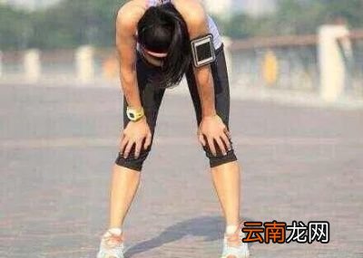 晨跑前应该吃什么东西