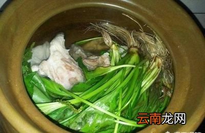 具体车前草有哪些用处呢天义总结出来以下3点