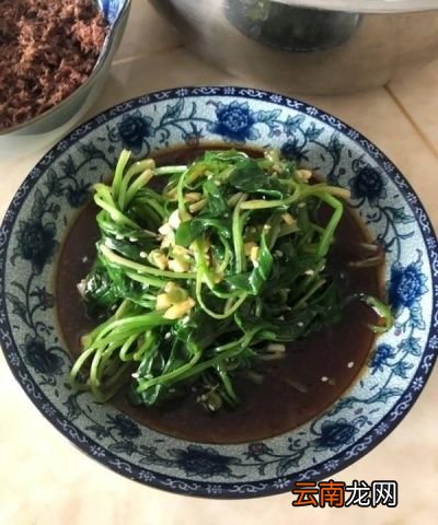 车前草什么时候采摘比较好