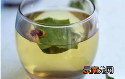 车前草泡水有什么功效