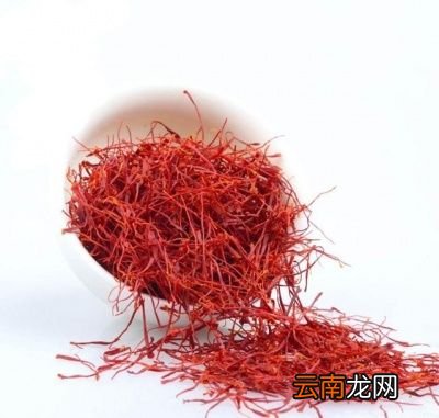我们要怎么辨别藏红花呢