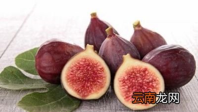 为什么青岛市区有这么多的无花果树