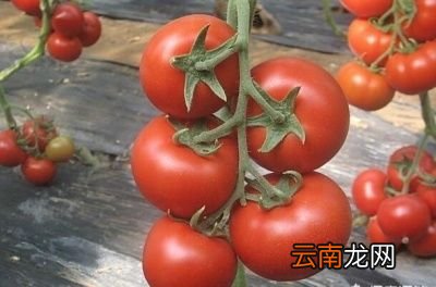 吃什么可以美白皮肤呢