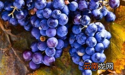 吃什么可以美白皮肤呢