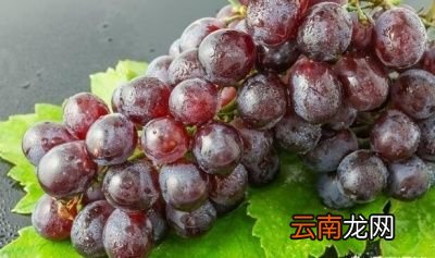 吃什么可以美白皮肤呢