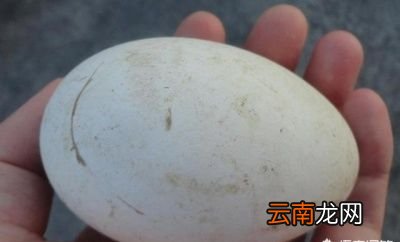 鹅蛋对孕妇都有什么好处呢