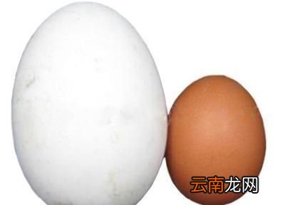 孕妇每天吃鹅蛋好吗