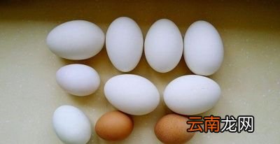 怀孕时每天吃鹅蛋好不好