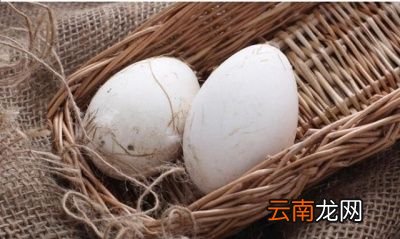 怀孕时每天吃鹅蛋好不好