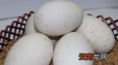 孕妇吃鹅蛋的优点有哪些呢