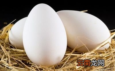 鹅蛋什么时候吃最好