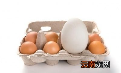 鹅蛋什么时候吃最好