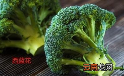 花菜和菜花是两种蔬菜吗