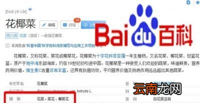 为什么同一种蔬菜让人产生是两种蔬菜的误解
