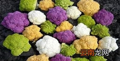为什么同一种蔬菜让人产生是两种蔬菜的误解