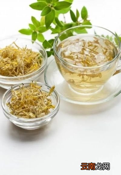 金银花是什么呢